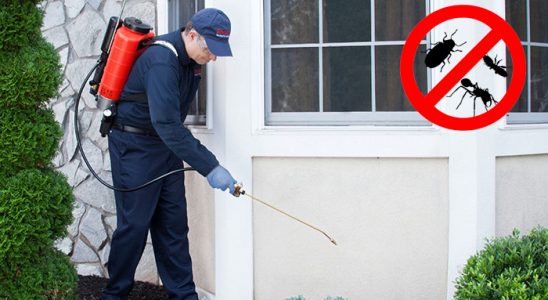Karamanlı Böcek İlaçlama böcek ilaçlama ve haşere kontrolü — ilaclama-tr.com